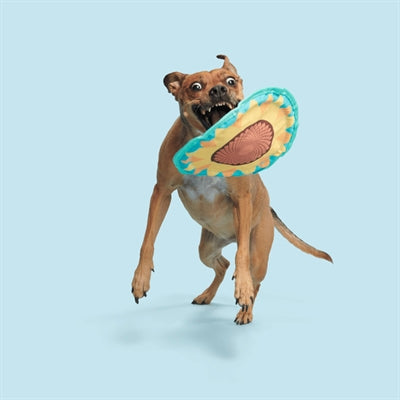 Bark Sunflower Flinger Zonnebloem Frisbee Stof 37X28X2 Cm