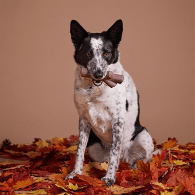 Bark Fall Fetch Stick Tak Super Chewer Bruin 25X25X5 Cm 10-20 Kg