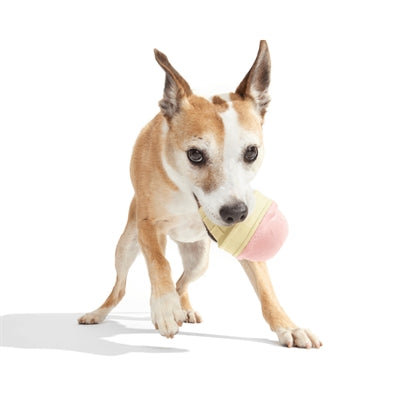 Bark I-Squeak Cone Ijsje Super Chewer Rubber Roze / Bruin 22X14X89 Cm >10 Kg