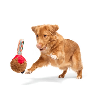Bark A Squeaky Meat-A-Ball Gehaktbal Met Vork Pluche Super Chewer 25,5X15X9 Cm 10-20 Kg