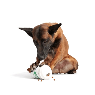 Bark Pupkin Spice Yappucino Cappucino In Beker Rubber Super Chewer 14X9X9 Cm >10 Kg