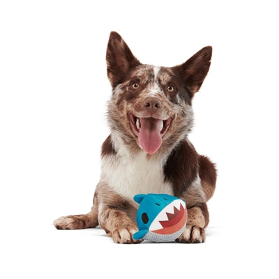 Bark Great White Dwight Haai Super Chewer 22,5X14,5X12 Cm >20 Kg