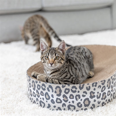 Trixie Krabmat / Mand Leo Karton Met Kattenkruid / Catnip Creme 63X35X10 Cm
