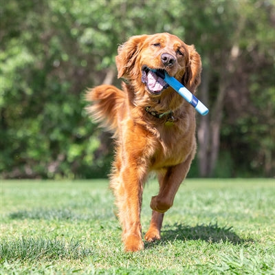 Chuckit Sniff Fetch Stick Bacongeur 28X3X2,5 Cm