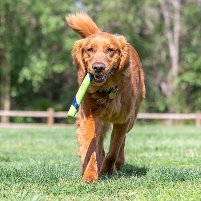 Chuckit Sniff Fetch Stick Pindakaasgeur 28X3X2,5 Cm