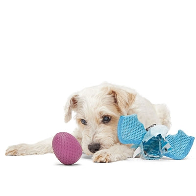 Bark Brrrtha The Dragon Super Chewer 19X9X6 Cm