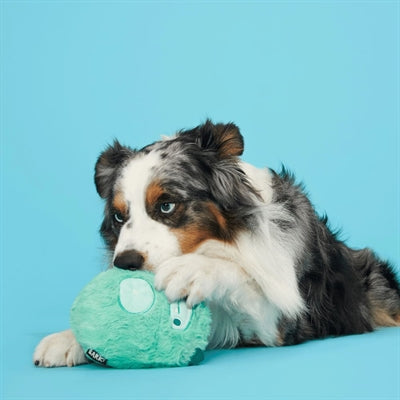 Bark Aurora Beast Super Chewer 15X12X10 Cm