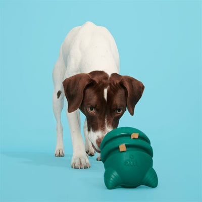Bark Aurora Beast Super Chewer 15X12X10 Cm