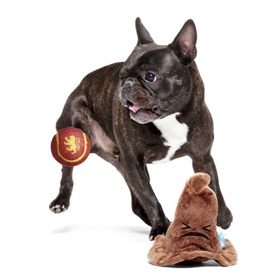Bark Sorting Hat Harry Potter Pluche Met 1 Bal 20X20X19 Cm