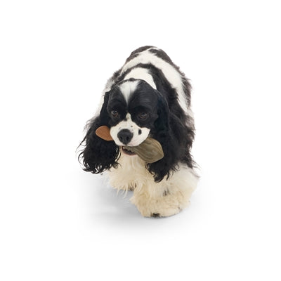 Bark Nimbus 2000 Harry Potter Super Chewer 15X6X5 Cm