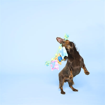 Bark Happy Yay Banner Birthday Pluche 36X25X6 Cm