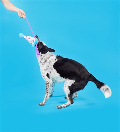 Bark Party Pooper Hat Birthday Pluche 29X9X9 Cm