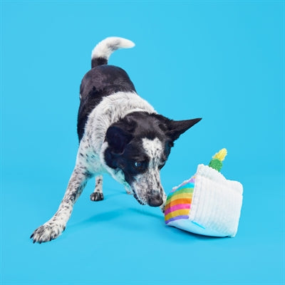 Bark Barkday Cake Birthday 21X17X13 Cm
