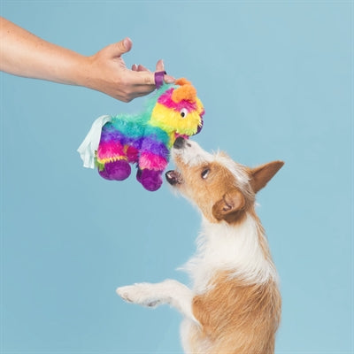 Bark Full O Fluff Pinata Birthday Pluche 22X13X23 Cm