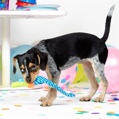 Bark Roll Over Party Blower Birthday Pluche 38X8X5 Cm