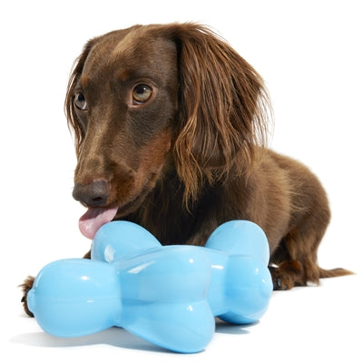 Bark Bob The Balloon Birthday Super Chewer 19X8X17 Cm