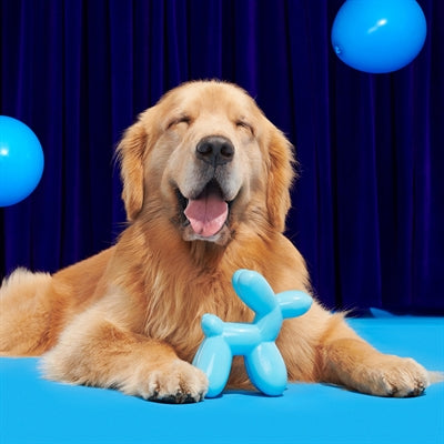 Bark Bob The Balloon Birthday Super Chewer 19X8X17 Cm