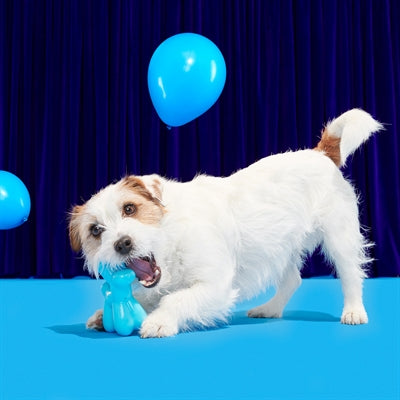 Bark Bob The Balloon Birthday Super Chewer 19X8X17 Cm